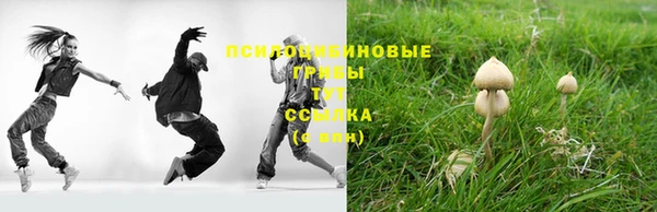 героин Алексин