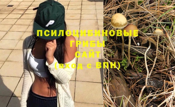 героин Алексин