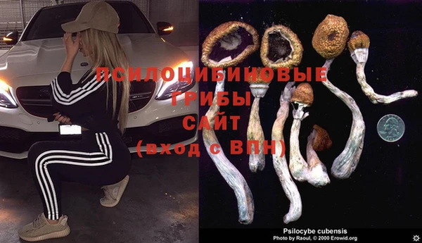 прущие крисы Алзамай