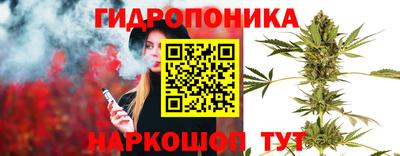 метадон Можга