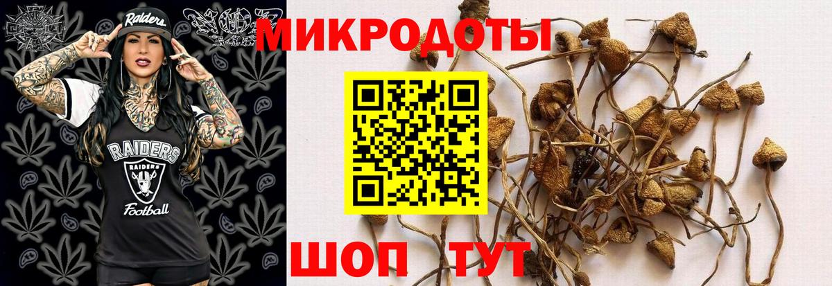 Богородск  Псилоцибиновые грибы MAGIC MUSHROOMS  Вход с VPN 